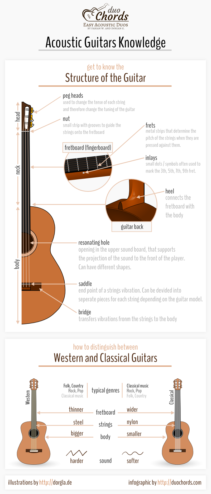 Acoustic guitar infographic